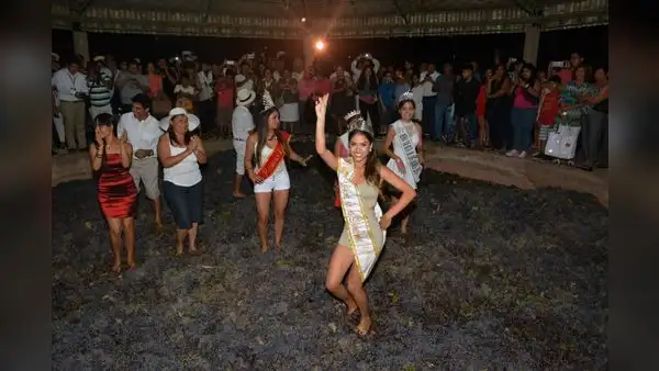 Vendimia de Paracas espera llegada de 20.000 turistas