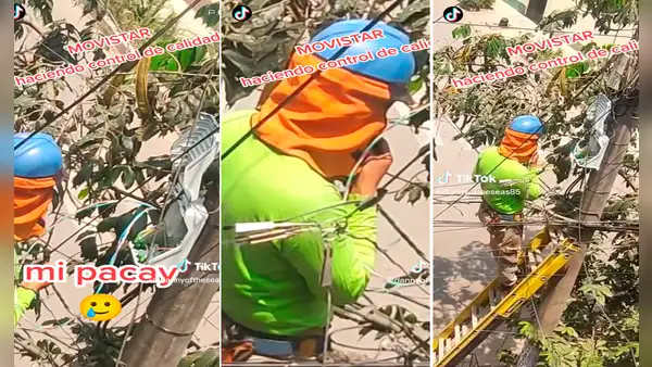 Técnico de Movistar sube a árbol de pacay a conectar cables y aprovecha para comerse los frutos