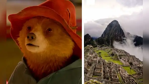 "Paddington en Perú": ¿cómo nació la historia del osito y cuándo filmarán su tercera película?