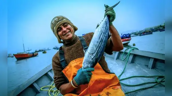 Ruta del pescado: ¿dónde encuentro productos marinos y a precios bajos en Semana Santa?