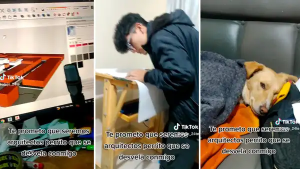 Joven trasnocha con su perrito por tareas universitarias y hace promesa: "Seremos arquitectos"