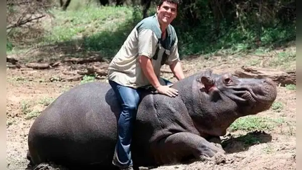 El trágico final del hombre que crio a un hipopótamo desde bebé: fue hallado con mordeduras