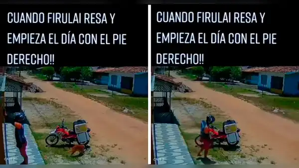 Perrito aprovecha descuido de repartidor y se lleva toda la comida: "Estuvo donde tenía que estar"