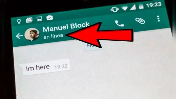 WhatsApp: ¿cómo ocultar que estás 'en línea' y la última hora que estuviste conectado?