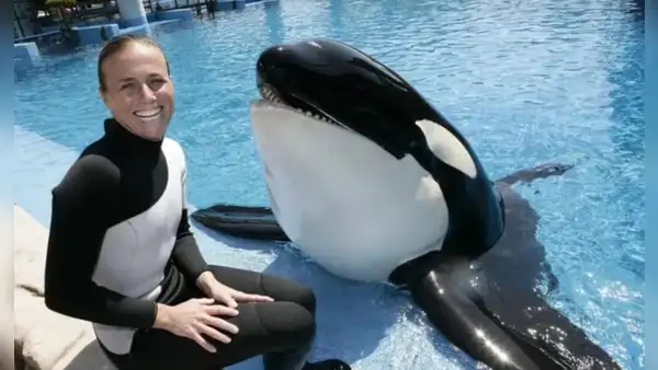 La triste historia de la entrenadora que fue asesinada por la orca que adiestró durante varios años