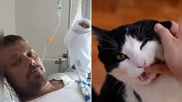 El dramático caso de Henrik: ¿cómo una mordedura de su gato le quitó la vida tras 4 años?