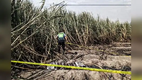 Secuestran y asesinan a adolescente de 16 años en La Libertad