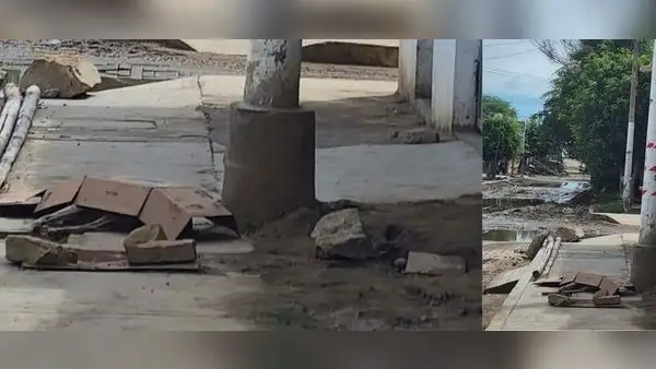 Perro muere electrocutado cuando intentaba orinar en poste de luz en Piura