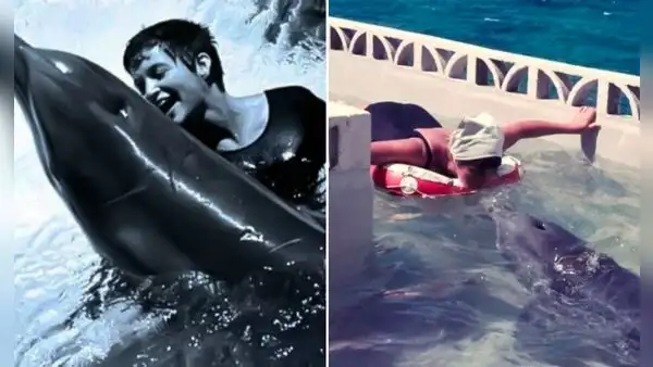 La triste historia de Peter, el delfín que se 'enamoró' de su entrenadora y murió por 'amor'