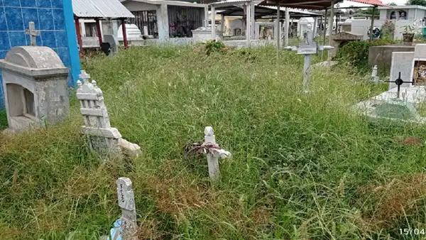 Cementerio de Tumbes se ha convertido en selva agreste con maleza producto de las lluvias