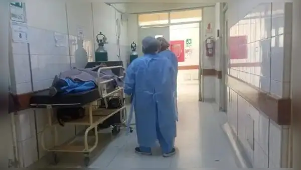 Hombre y su mascota canina fueron hallados muertos en su habitación en Arequipa