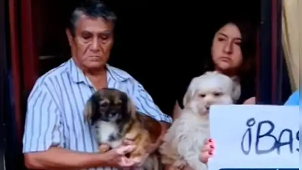 SMP: denuncian a vecino que mató a perrito y habría agredido a otros canes