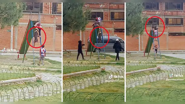 Perrito enternece las redes al jugar en resbaladera con niños: "Es más educado que cualquier humano"