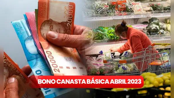 Bono Canasta Básica 2023: ¿cuándo pagan y cómo consultar con RUT si soy beneficiario?