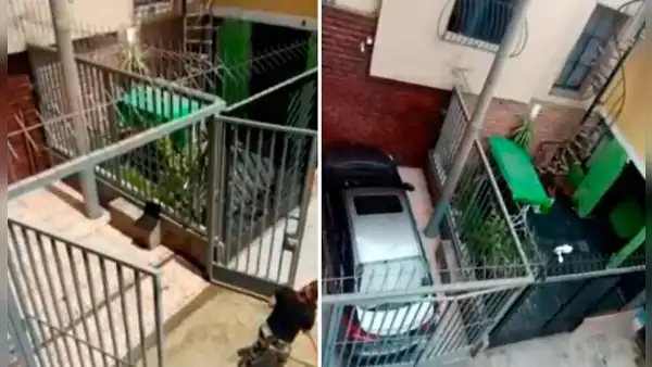 SJM: vecinos se adueñan de espacio público para crear una cochera y un patio