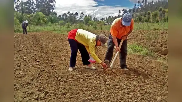 Bono Recupérate Ya: plazo para cobrar subsidio vence el 25 de abril