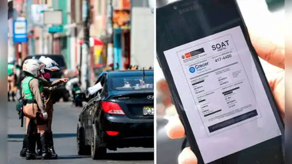 SOAT por placa: ¿cómo verificar si mi carro cuenta con el seguro contra accidentes vigente?