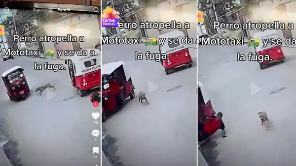 Perrito atropella mototaxi y se da a la fuga: mira el video de este sorpresivo accidente de tránsito