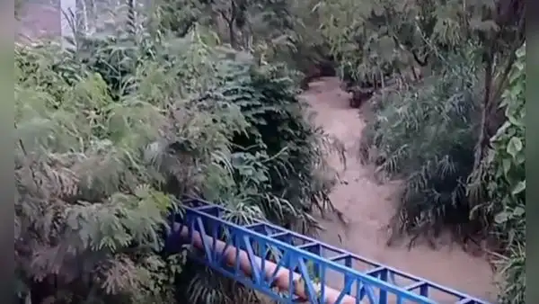 Amazonas: 3 niños fallecen tras ser arrastrados por caudalosas aguas de quebrada debido a lluvias