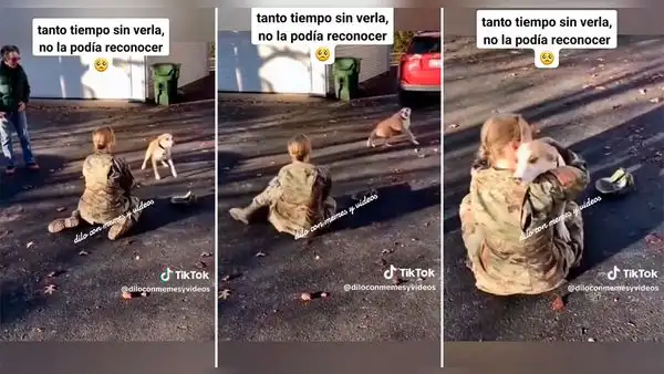 Perro se asusta al ver a su dueña, pero después de segundos la reconoce: “Ellos no olvidan”