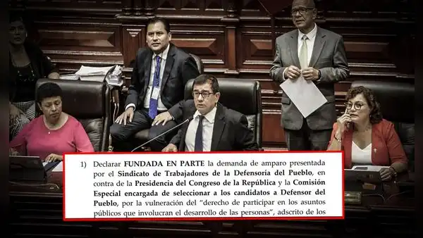Juez constitucional advierte serios vacíos en elección del defensor del pueblo