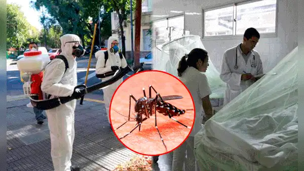 Niña muere a causa de dengue hemorrágico en La Libertad