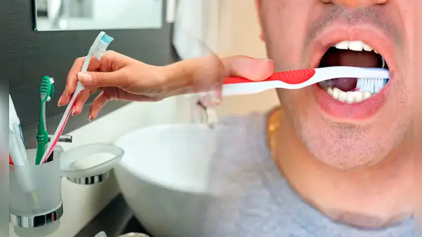 ¿Por qué nunca deberías colocar tu cepillo de dientes en el baño?