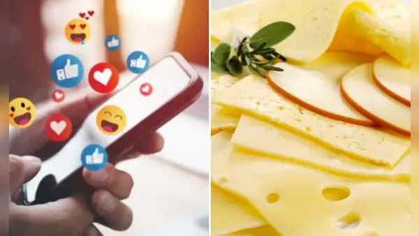 "Y la queso": ¿qué significa esta frase que se volvió tendencia en internet?