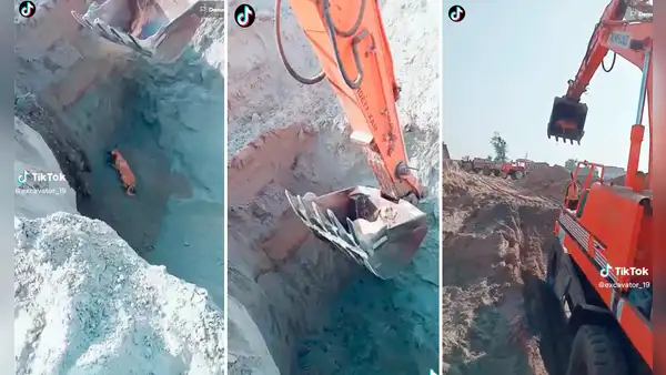 Trabajadores usan excavadora para rescatar un perro, pero el final de la historia generó críticas en redes