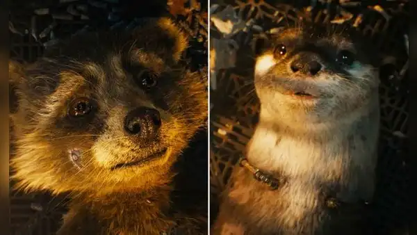 ¿Muere Rocket? Nuevo tráiler de "Guardianes de la galaxia 3" entristece a fans: "No voy a llorar"