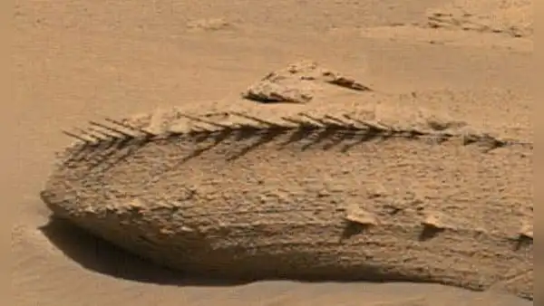 ¿Una columna vertebral en Marte? La NASA explica este insólito hallazgo