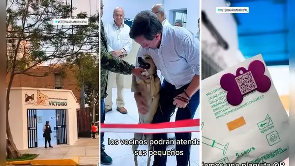 Magdalena: veterinaria municipal atenderá a costo social y registrará mascotas con microchip