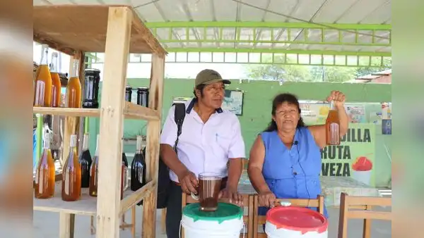 Lluvias torrenciales llenaron de flores el desierto de Sechura y apicultores serán beneficiados