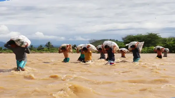 Agricultores arriesgan sus vidas en Tumbes al cruzar caudalosas aguas con sus productos