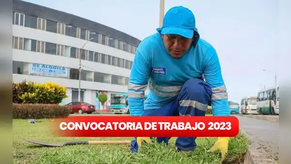 ¿Buscas trabajo? Municipalidad de San Miguel abre convocatoria con sueldos de hasta S/2.500