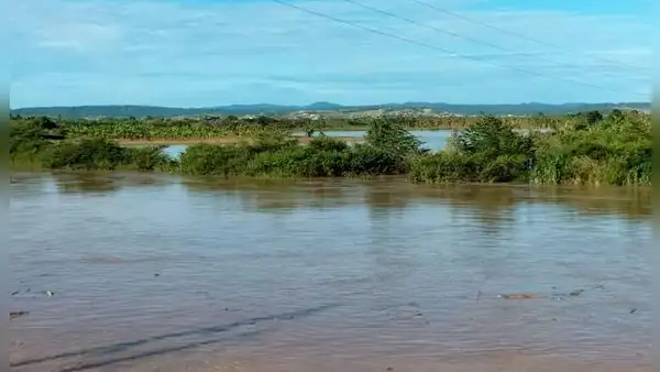 Desborde de río Tumbes dejó más de 3.000 hectáreas de cultivos inundadas tras intensas lluvias en la región