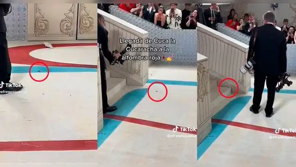 Met Gala 2023: cucaracha pasa por la alfombra roja y es fotografiada por los asistentes