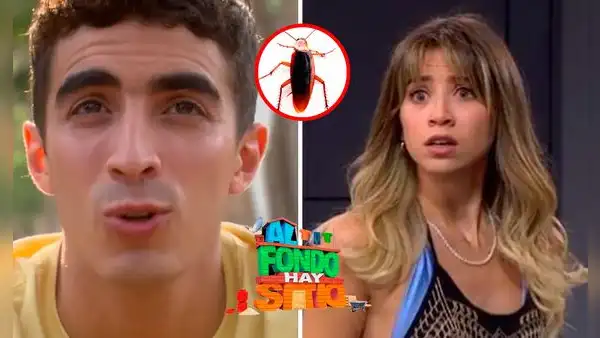 El plan de Jimmy para salvar a Alessia en "AFHS": Cucaracha con ajiaco sería el fin de Laia