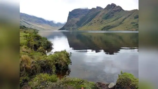 Lagunas Las Huaringas de Piura podrían convertirse en área de conservación de especies en peligro de extinción