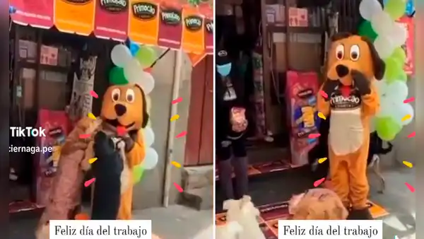 Chamba es chamba: joven se disfraza de perro para jalar clientes, pero termina atrayendo canes