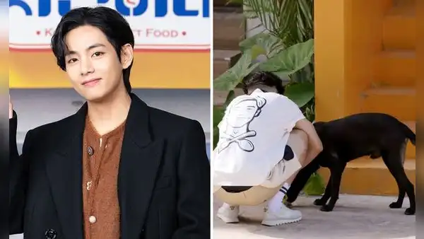¿Taehyung de BTS pagó atención a perro callejero en México?: parte de la historia sería falsa