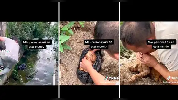 Hombre rescata a perrito de morir ahogado y es elogiado en redes sociales: "Hermoso gesto"