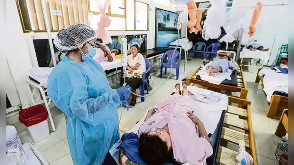 Colegio Médico del Perú alerta sobre incremento explosivo de casos de dengue