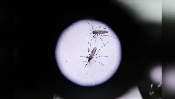 Dengue avanza y pone en alerta a autoridades del norte