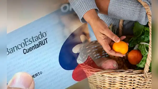 Bolsillo Familiar Electrónico en Chile: ¿cómo puedo ser beneficiario y de cuánto es el abono?