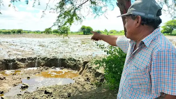 Quebrada Pajaritos continúa desbordándose e inundando cultivos en Piura