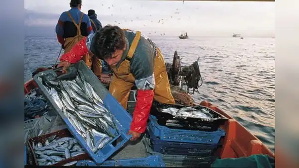 Produce: Hay que realizar algunas correcciones en la ley que protege las 5 millas marinas