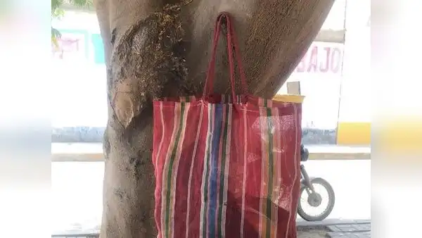 La Libertad: por redes sociales buscan a mujer que olvidó su bolsa con víveres en un árbol