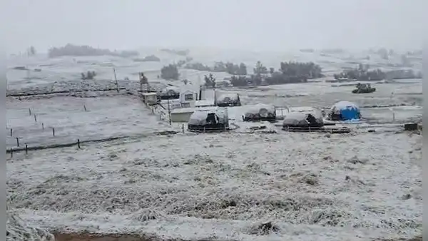 Suspenden labores escolares en Cusco debido a la caída de nieve y bajas temperaturas en la región