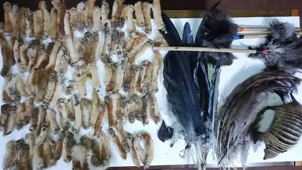 Serfor decomisó 184 partes de animales silvestres y 7 taxidermizados de Feria las Alasitas en Puno